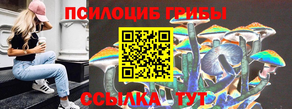 Псилоцибиновые грибы Magic Shrooms  Вход с VPN  Альметьевск  Галлюциногенные грибы ЛСД 