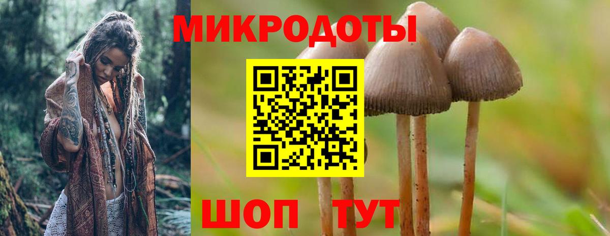 Галлюциногенные грибы Cubensis Альметьевск